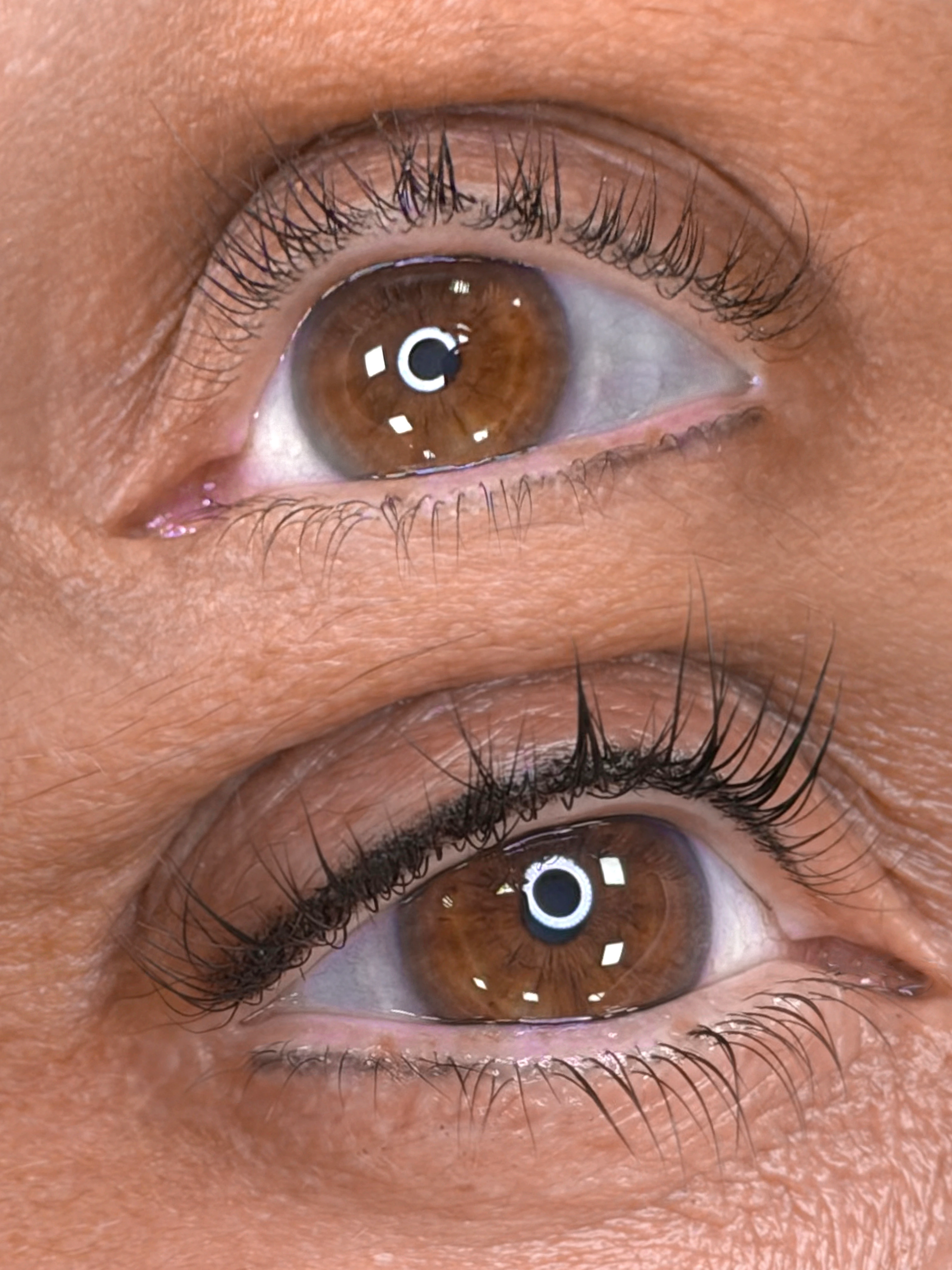 Fusion Brows gallery image 2