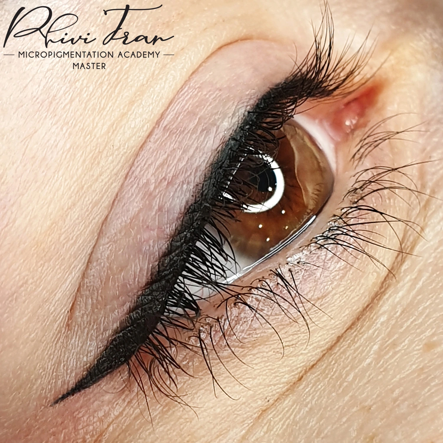 Fusion Brows gallery image 8