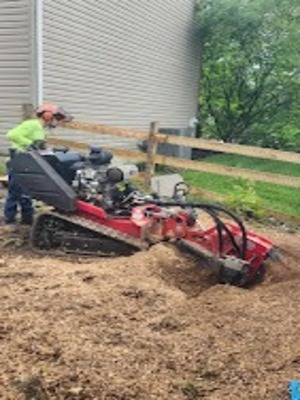 {{ custom_values.service_1 }} in {{custom_values.area_1})