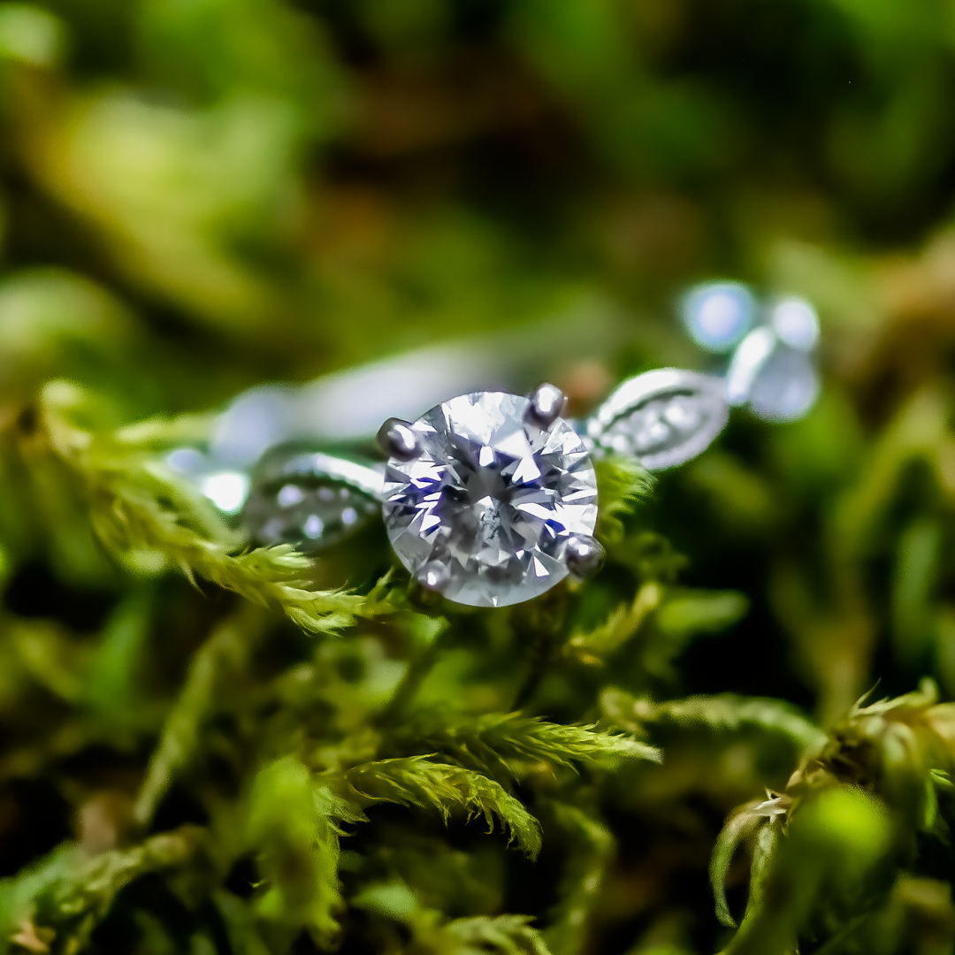 Ring laying on a a bed of moss. 