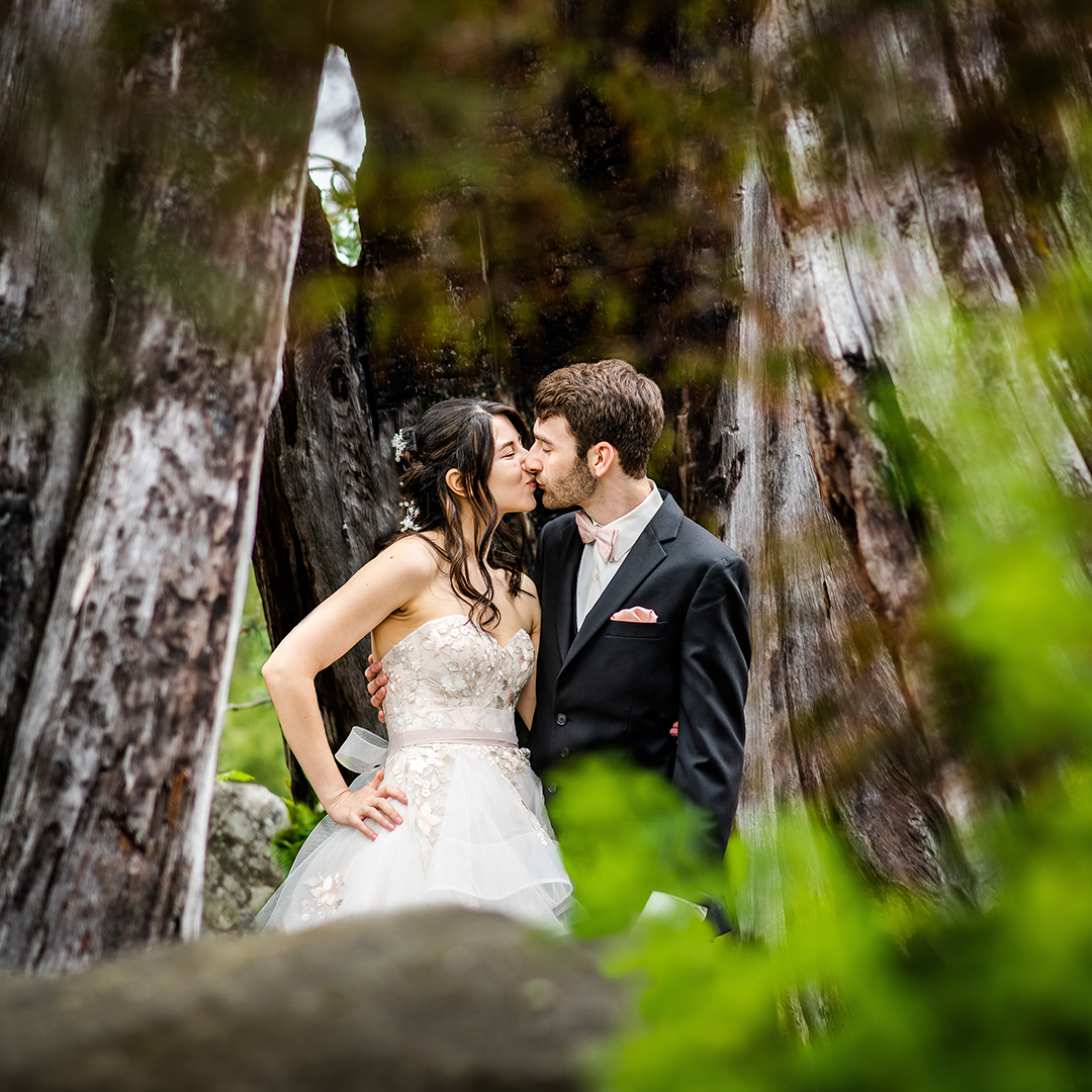 A romantic kiss between a bride in a floral-embellished gown and her groom in a black suit, framed by an ancient tree trunk, showcasing the natural splendor of a wedding moment.