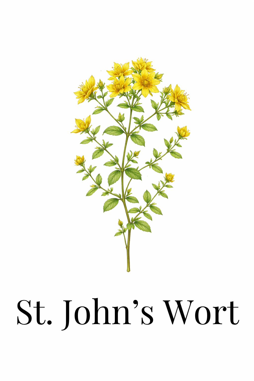 Botanical Plants Collection