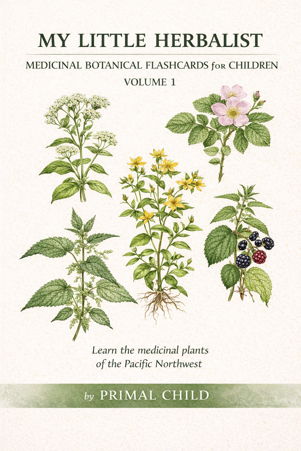 My Little Herbalist Product Box