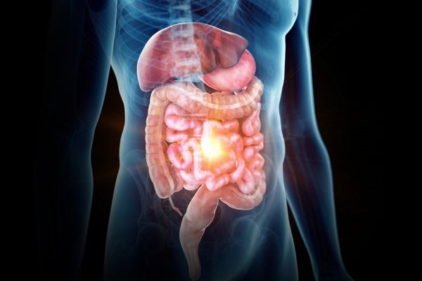Gut Health and Chronic Inflammation Connection Gut Health and Chronic Inflammation Connection