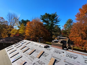 {{ custom_values.service_3 }} in {{custom_values.area_7})