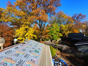 {{ custom_values.service_4 }} in {{custom_values.area_7})