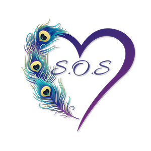 Spark Our Spirit Ministries logo