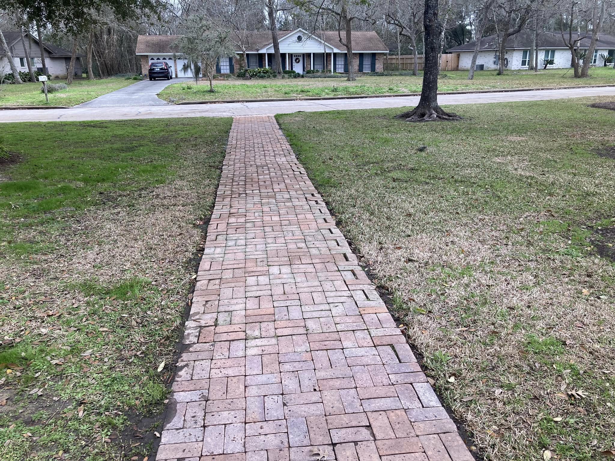 Brick walkway with efflorescence and dirt removed