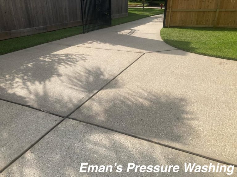 Clean driveway with algae and organic growth removed