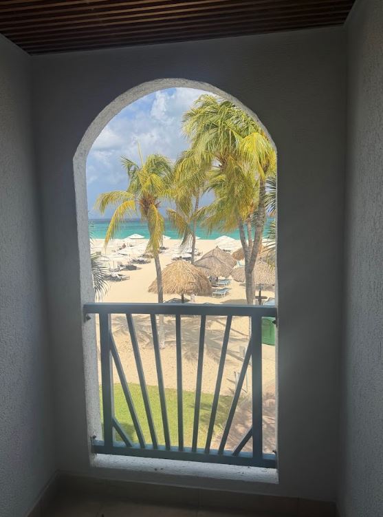 Arched window looking out over palm trees and the beach at Divi