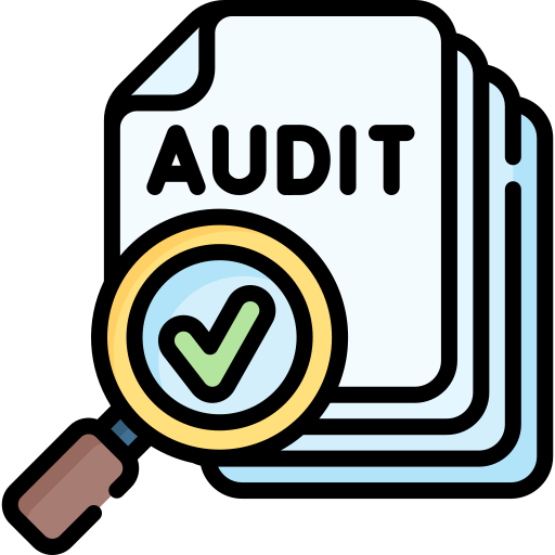 Credit Audit