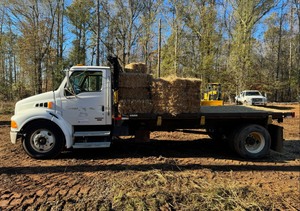 {{ custom_values.service_2 }} in {{custom_values.area_2})