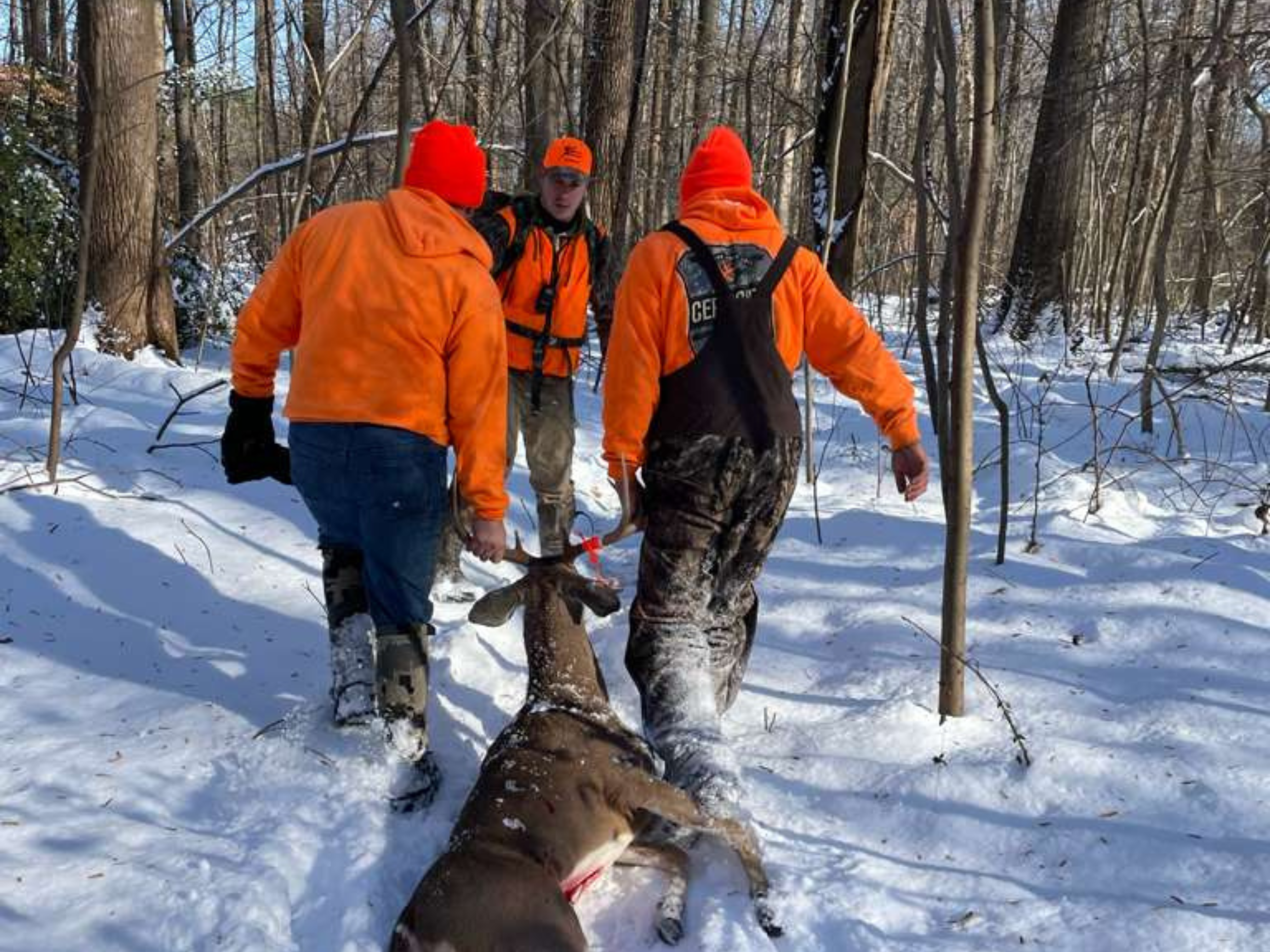 26th Man season photo 3 of 3