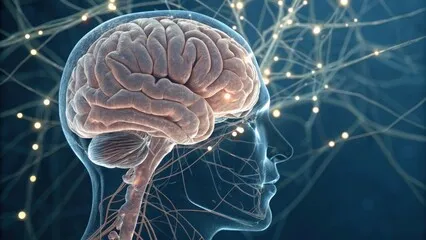 Mind Vault® - Boost Focus, Memory and Brain Health | Official Website