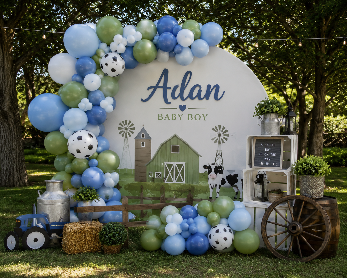 Luxury Balloon Setup