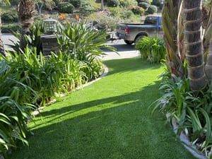 {{ custom_values.service_2 }} in {{custom_values.area_4})