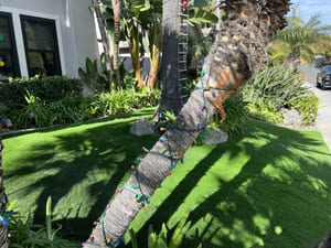 {{ custom_values.service_2 }} in {{custom_values.area_5})