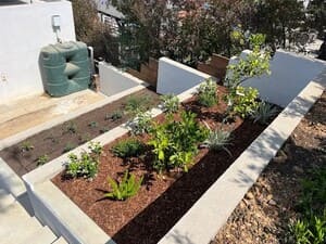 {{ custom_values.service_2 }} in {{custom_values.area_2})