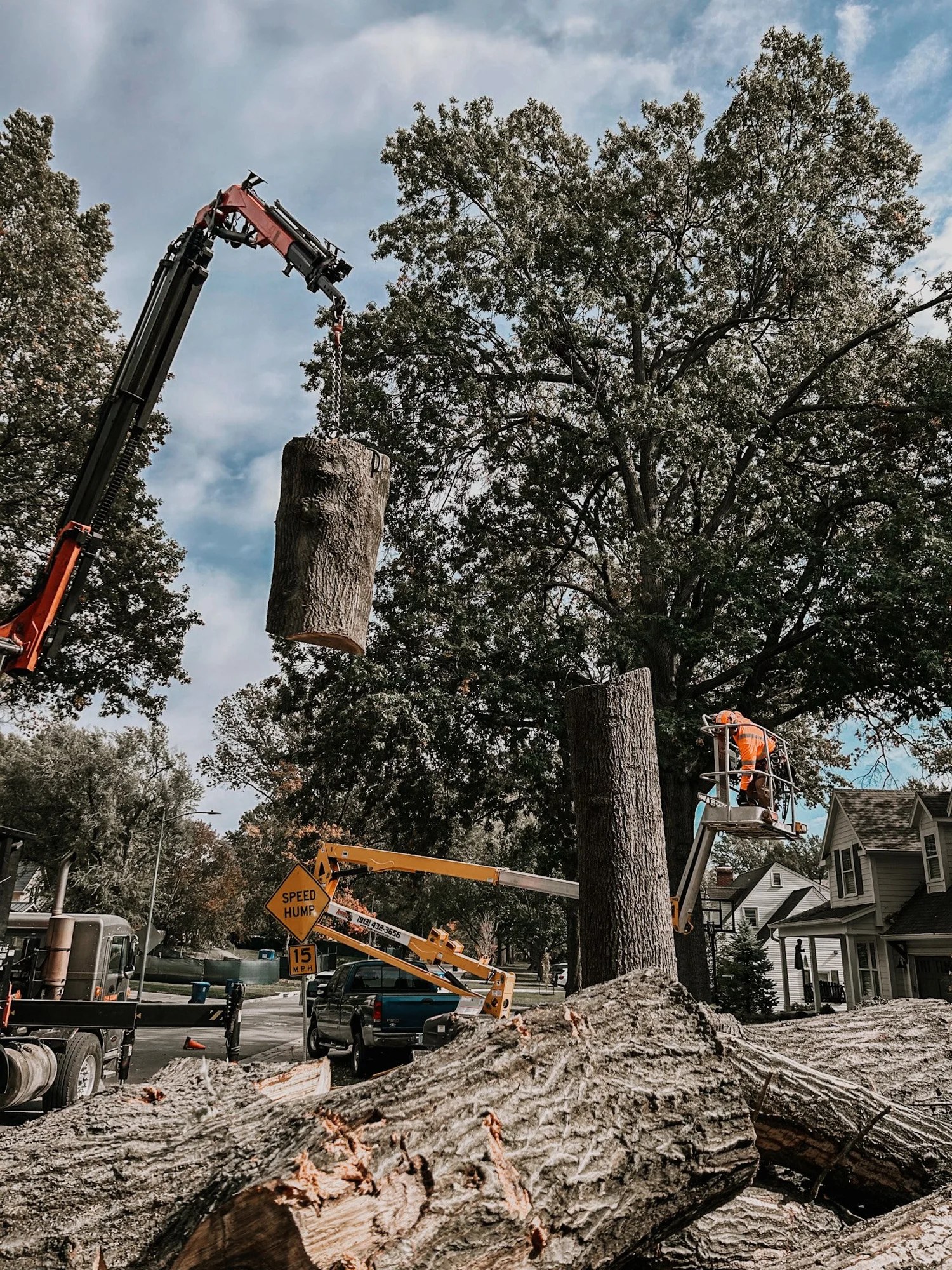 Storm Damage — Reliable Tree Service LLC
