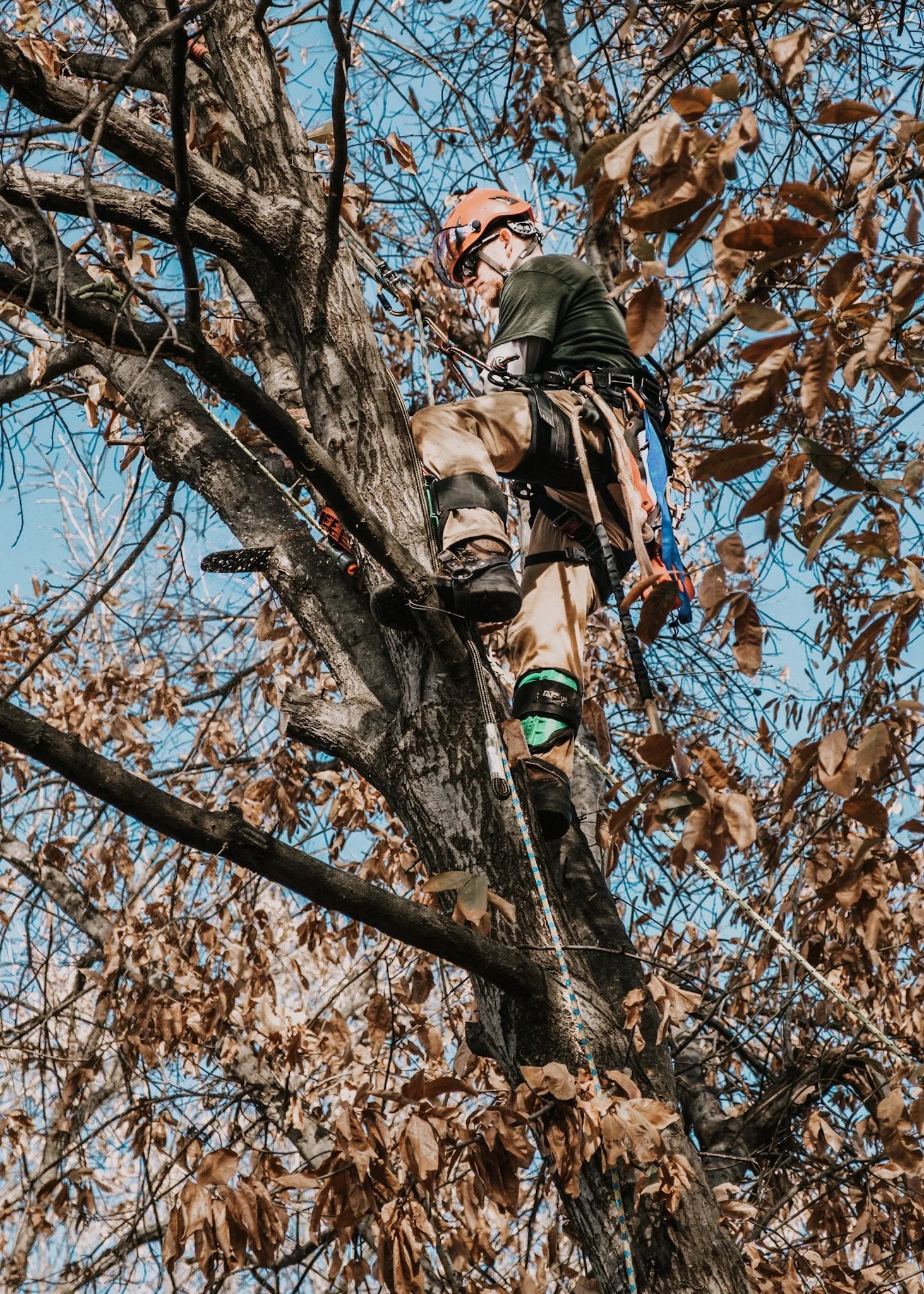 24/7 Emergency Service — Reliable Tree Service LLC