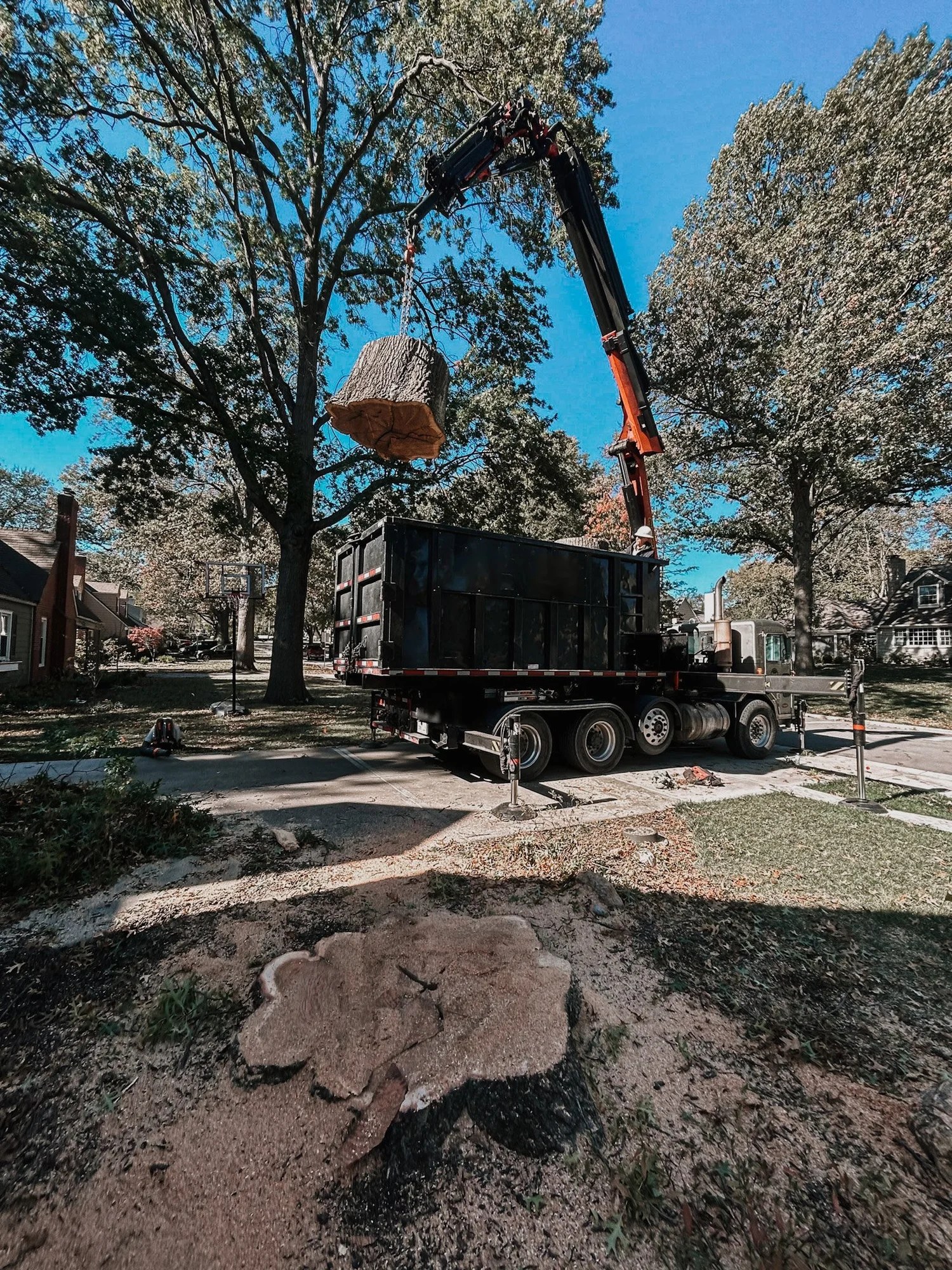 Tree Trimming / Tree Pruning — Reliable Tree Service LLC