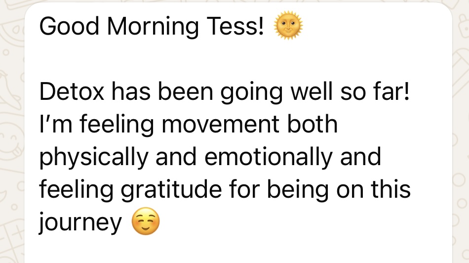 Client message testimonial 4