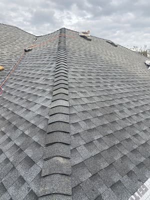  in Alamo Heights, TX