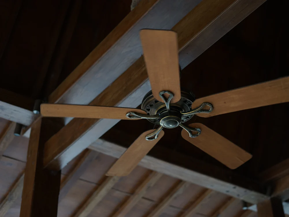 Timber ceiling fan with five blades under exposed timber rafters