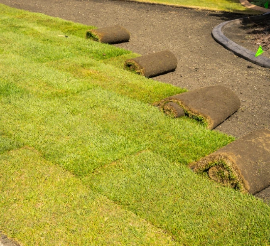 Rolls of sod - installation