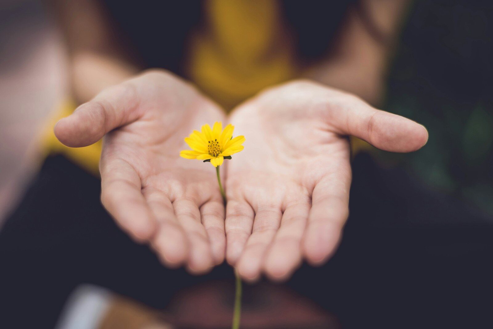 the power of truly caring the power of truly caring