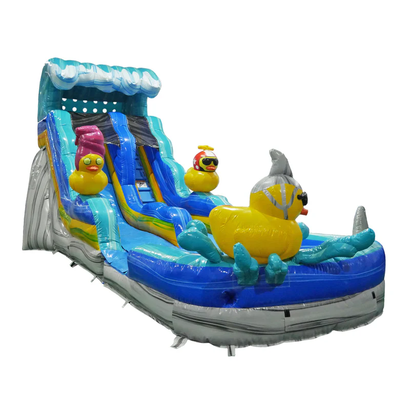 Quack and slide wet-n-dry inflatable slide, photo 1 of 2