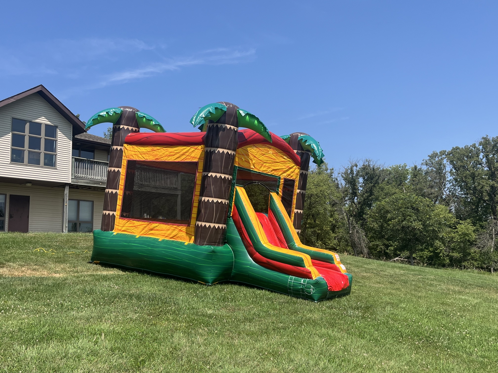Palm Paradise wet-n-dry inflatable combo, photo 1 of 1