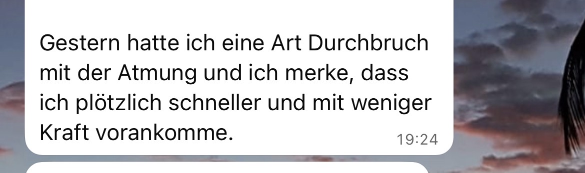 Kundenstimme Chat 6