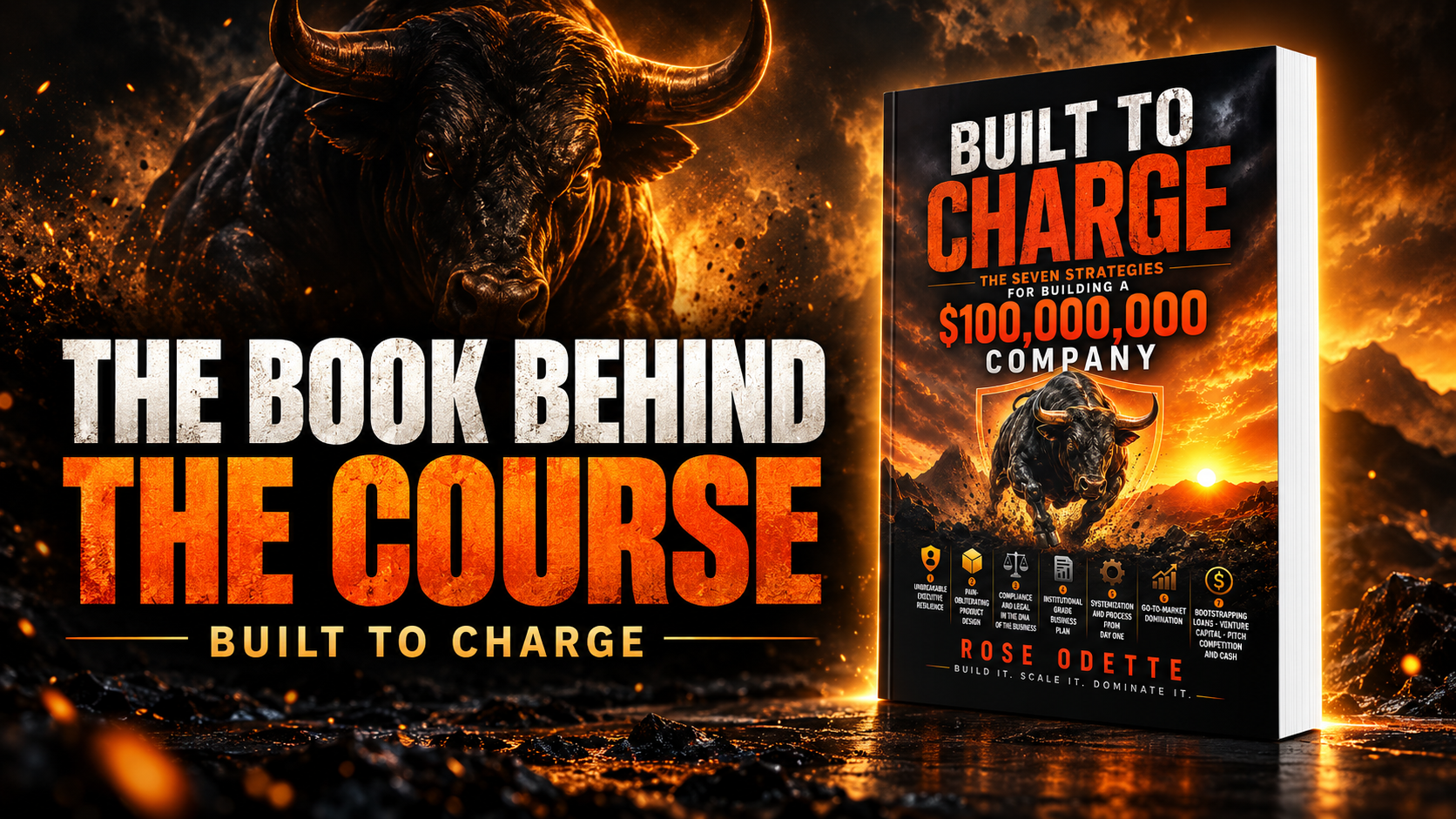 Why I wrote the Book and the Course