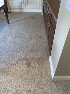 {{ custom_values.service_2 }} in {{custom_values.area_2})