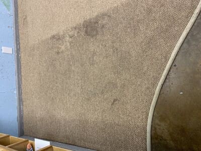Carpet cleaning in Paulding County Ga