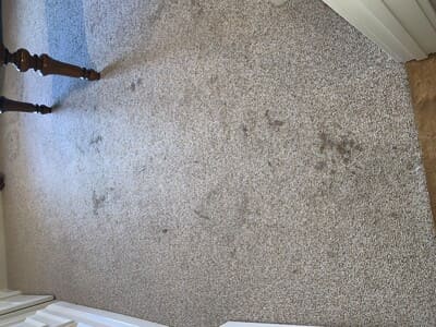 Luxury vinyl plank cleaning in Dallas Ga