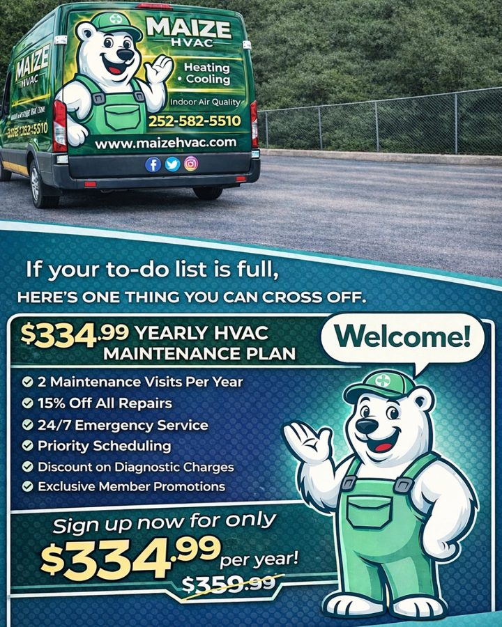 maize ad