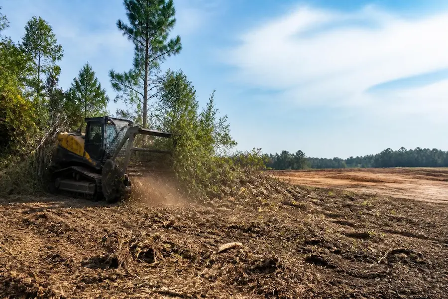 land clearing south carolina