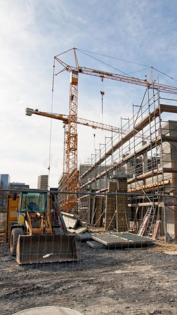 Cedar & Mesquite Removal