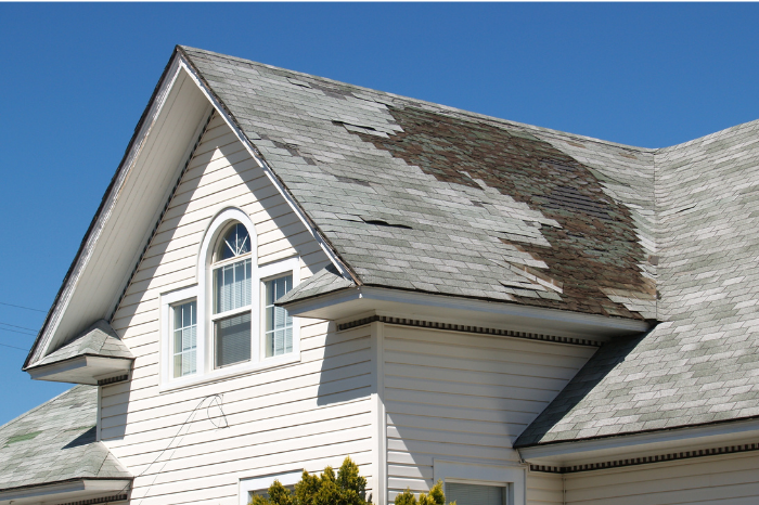 damaged roof shingles