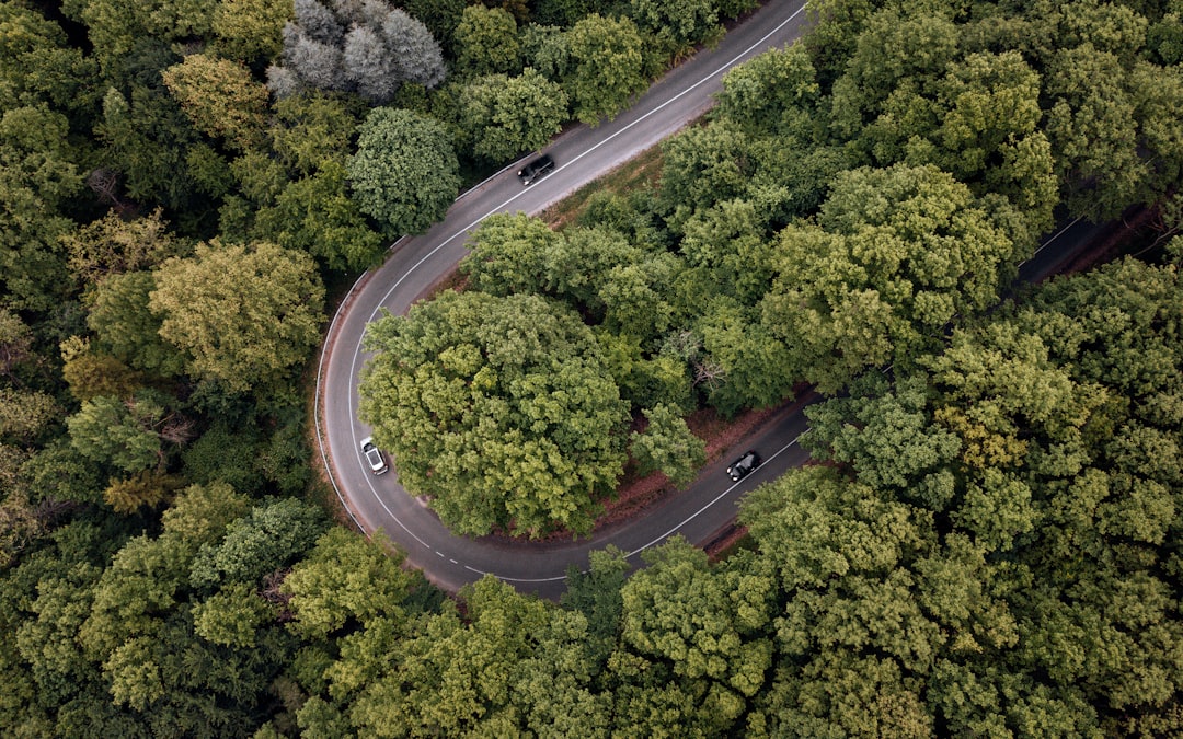 winding mountain road