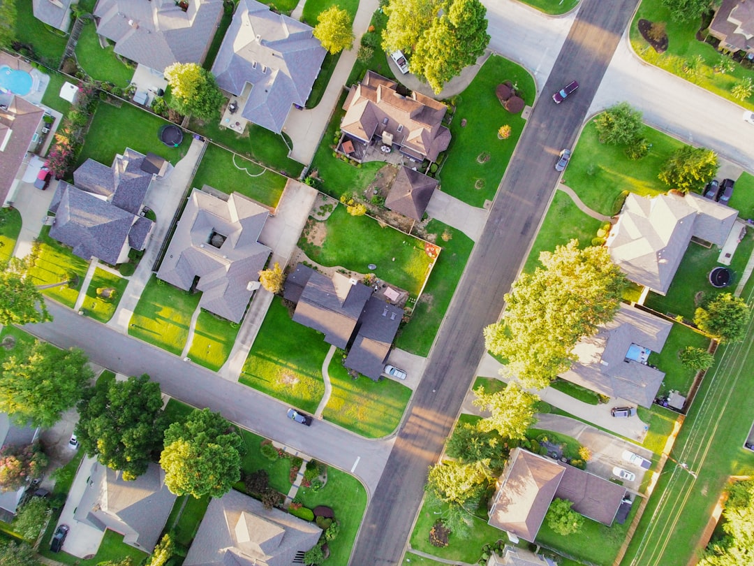 A tree-lined residential street representing Roanoke buyers comparing neighborhood fit before purchasing.