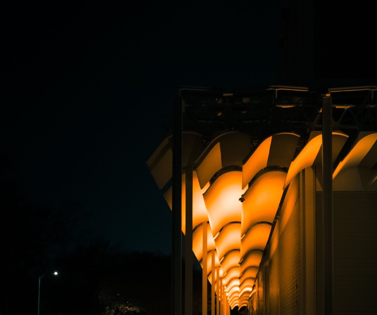 Menil Collection walkway lit at night in Montrose