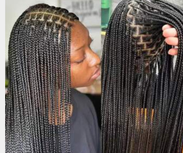 Medium knotless braids waist length in Lemon Grove