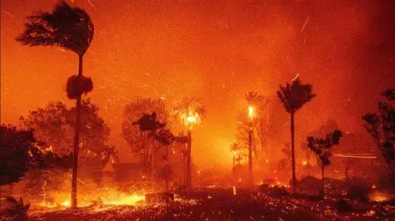 What the Palisades Fire Taught Us