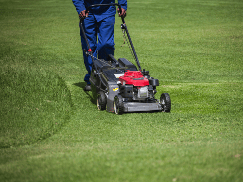 Grass Cutting in Montreal