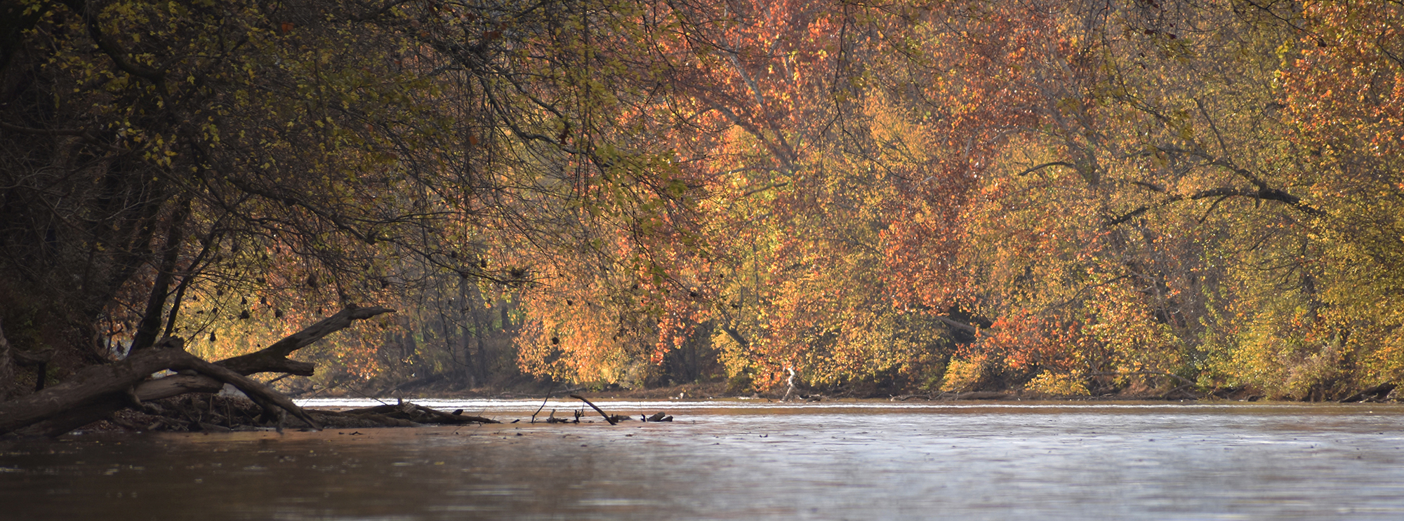 photograph of Elk River in West Virginia by Ric MacDowell at Gallery Eleven.