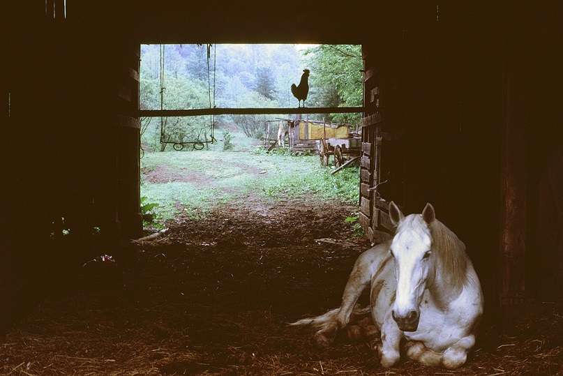 Ric MacDowell | Photographer & Activist