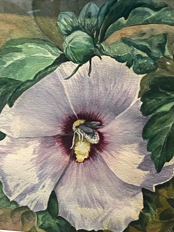 A watercolor painting of flower detail with bee by Carol Hilleary at Gallery Eleven.